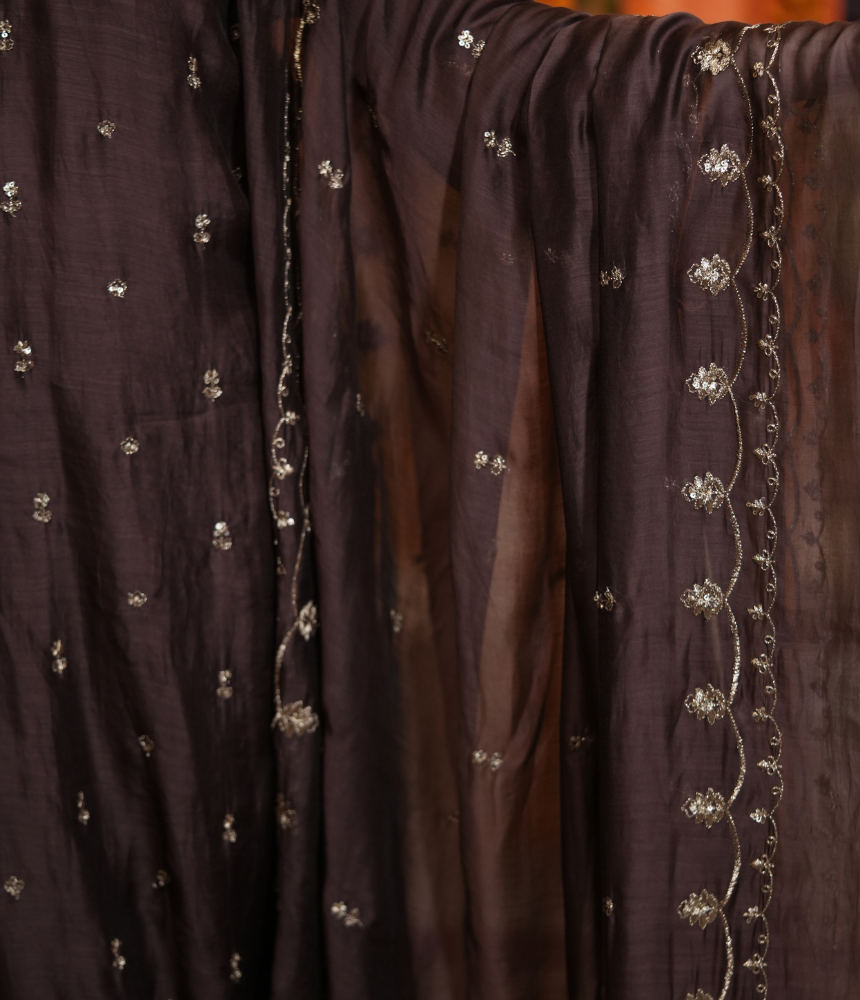 Ragini Suit Set